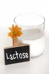 Milchzucker / Laktose